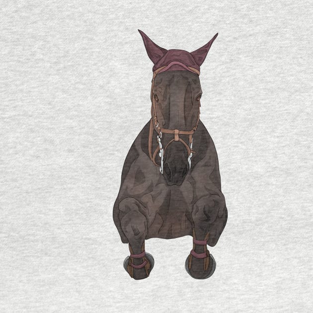 Seal Bay Show Jumper Front by themarementality